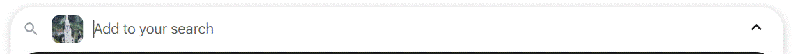 image search bar