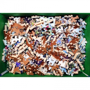 feathered-friends-box