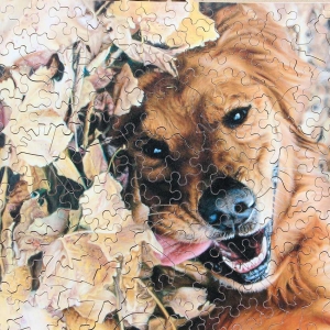 fall-festival-image2