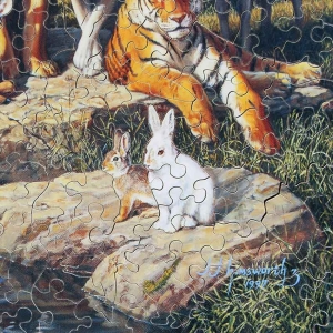 family-gathering-image3