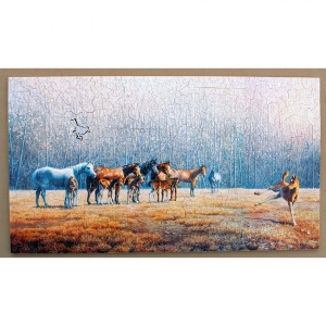 playground-showoff-image