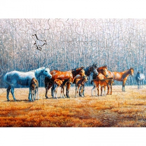 playground-showoff-image2