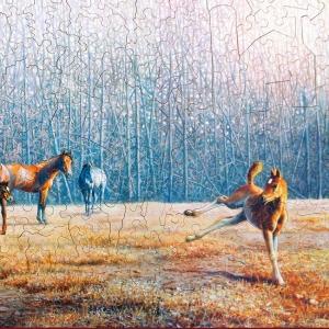 playground-showoff-image3