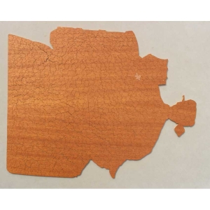 one-mans-family-back