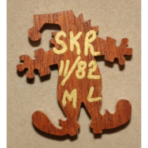 all-things-bright-jester