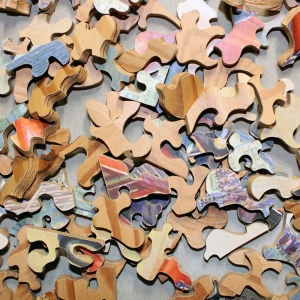 going-to-the-fire-image4